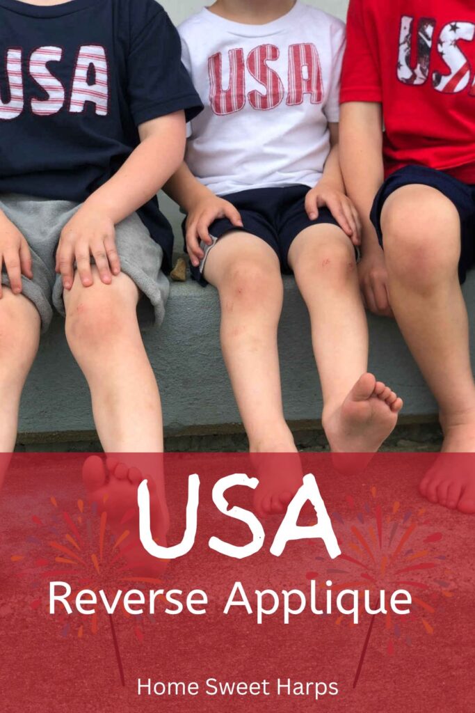 USA reverse applique PIN